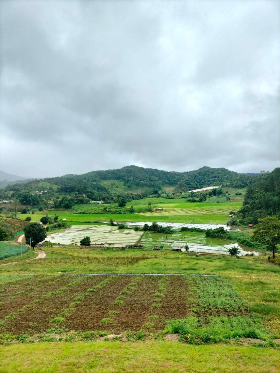 Hotel สวนไร่รุ่งอรุณ Suan Rai Rungarun Ban Na Pa Paek Exterior foto